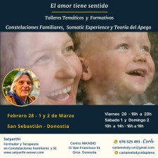Saty Folleto  Feb Marzo 25 .jpg